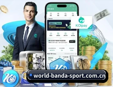 半岛综合 APP 深度功能