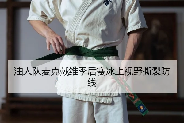 油人队麦克戴维季后赛冰上视野撕裂防线